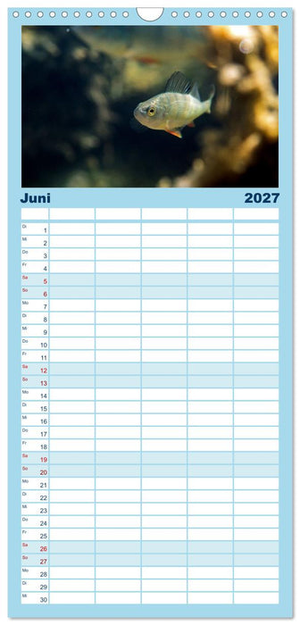 Faszination Fische (CALVENDO Familienplaner 2027)