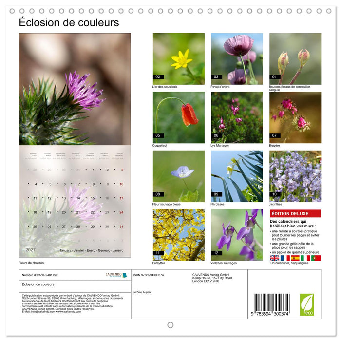 Éclosion de couleurs (CALVENDO Calendrier mensuel 2027)