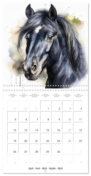 Portraits de chevaux à l'aquarelle (CALVENDO Calendrier mensuel 2027)