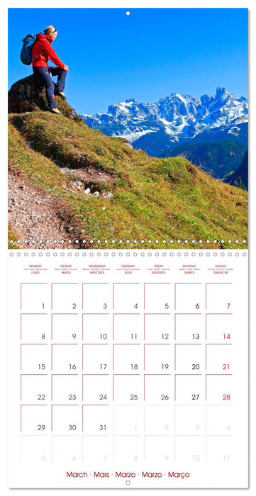 In Love with the Alps (CALVENDO Monthly Calendar 2027)