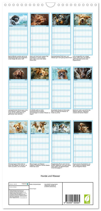 Hunde und Wasser (CALVENDO Familienplaner 2027)