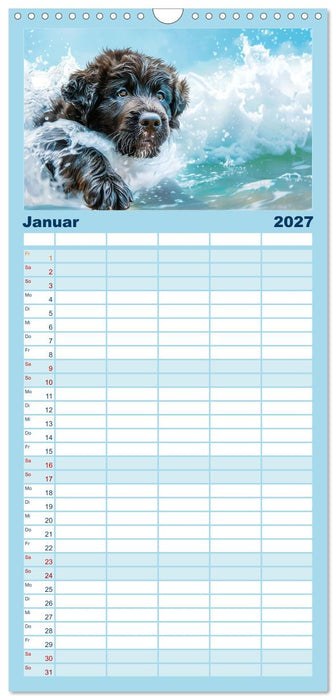 Hunde und Wasser (CALVENDO Familienplaner 2027)