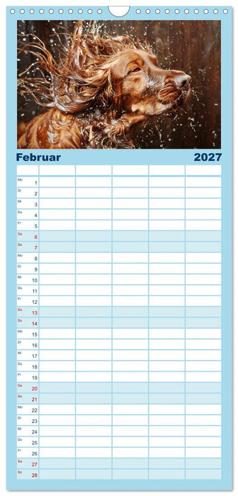 Hunde und Wasser (CALVENDO Familienplaner 2027)