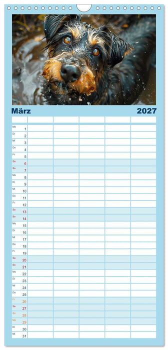 Hunde und Wasser (CALVENDO Familienplaner 2027)