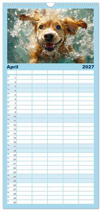 Hunde und Wasser (CALVENDO Familienplaner 2027)