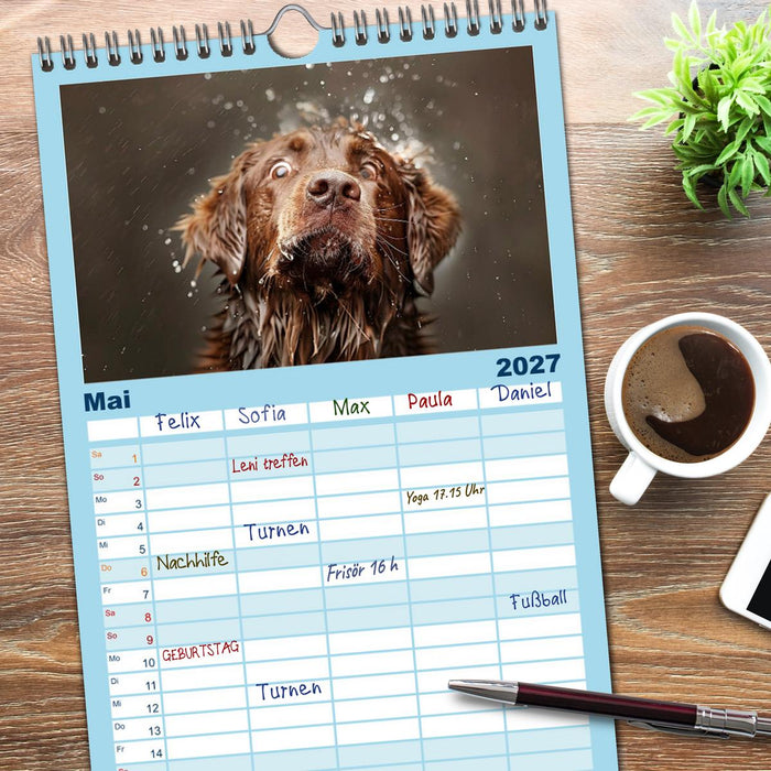 Hunde und Wasser (CALVENDO Familienplaner 2027)