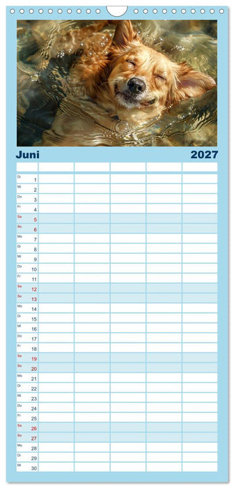 Hunde und Wasser (CALVENDO Familienplaner 2027)