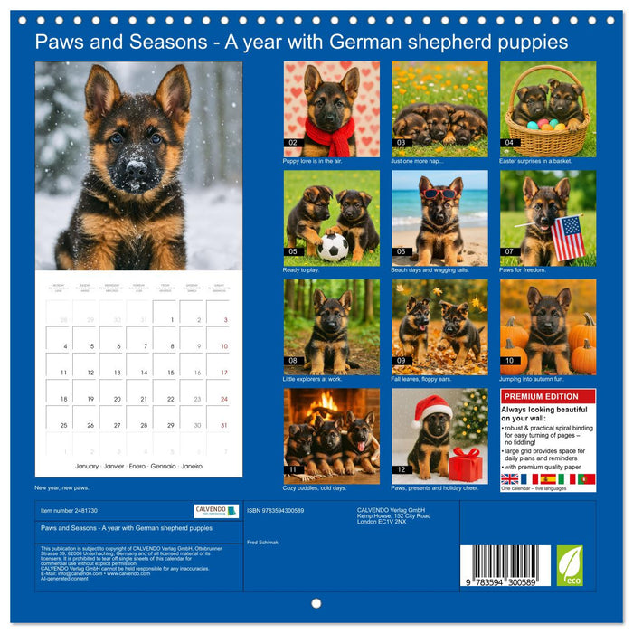 Paws and Seasons - A year with German shepherd puppies (CALVENDO Monthly Calendar 2027)