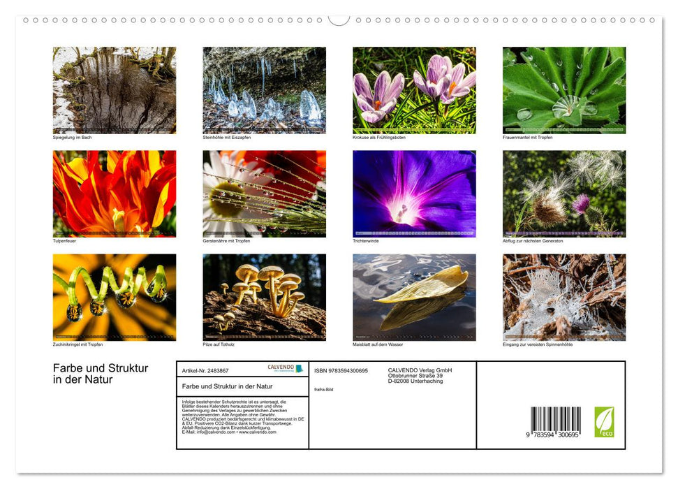 Farbe und Struktur in der Natur (CALVENDO Premium Wandkalender 2027)