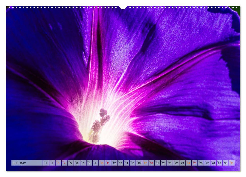 Farbe und Struktur in der Natur (CALVENDO Premium Wandkalender 2027)