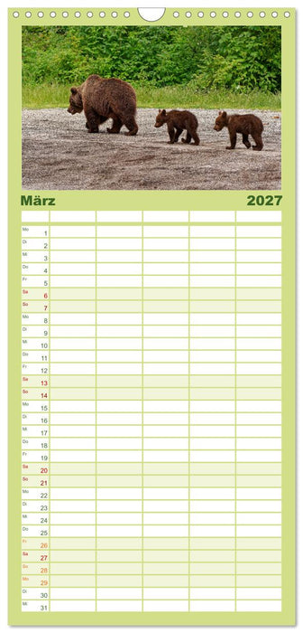 Siebenbürgen und das Fagaras Gebirge (CALVENDO Familienplaner 2027)