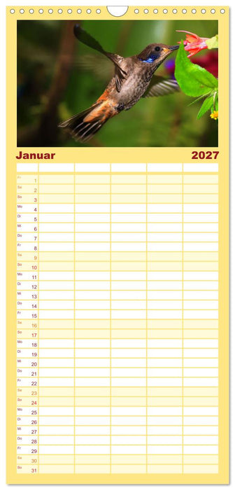 Kolibris; Anmut, Schönheit, Farben (CALVENDO Familienplaner 2027)