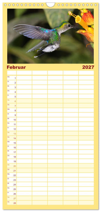 Kolibris; Anmut, Schönheit, Farben (CALVENDO Familienplaner 2027)