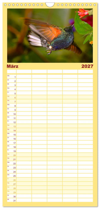 Kolibris; Anmut, Schönheit, Farben (CALVENDO Familienplaner 2027)