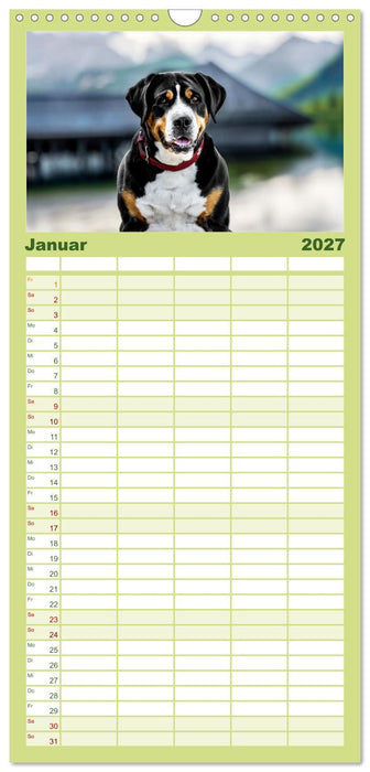 Große Schweizer - Gigantische Sennenhunde (CALVENDO Familienplaner 2027)