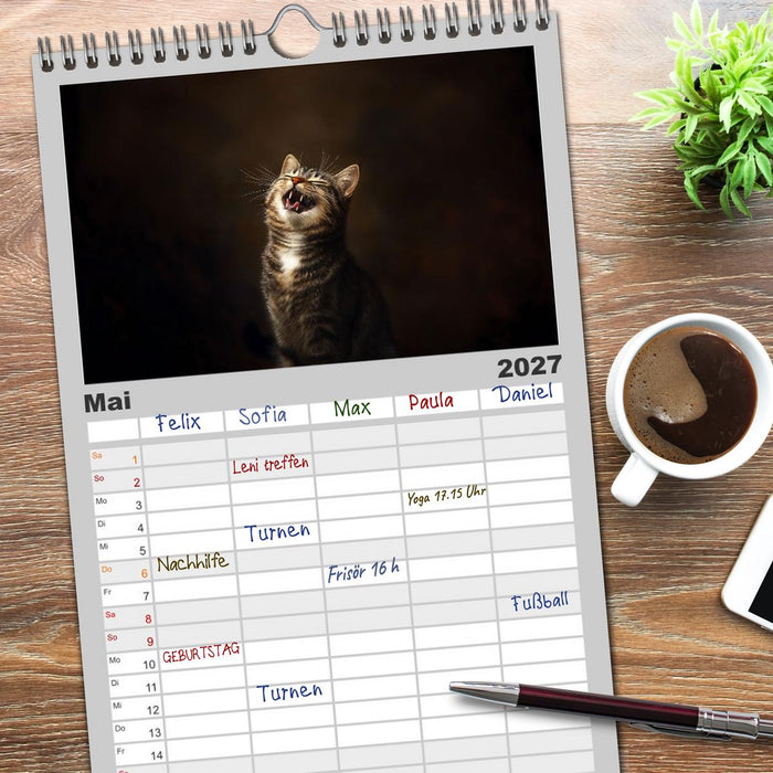 Auch Katzen lachen gern (CALVENDO Familienplaner 2027)