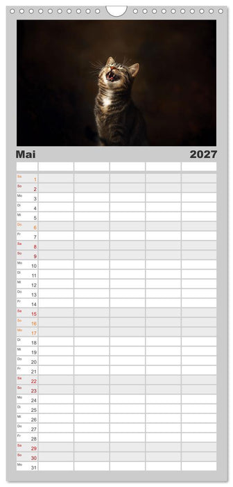Auch Katzen lachen gern (CALVENDO Familienplaner 2027)