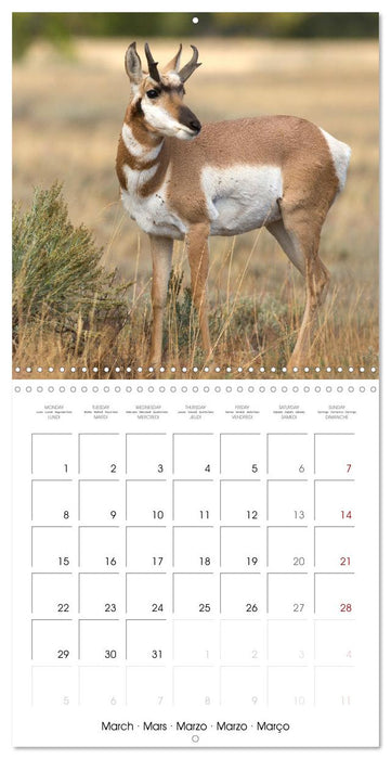 Teton National Park (CALVENDO Monthly Calendar 2027)