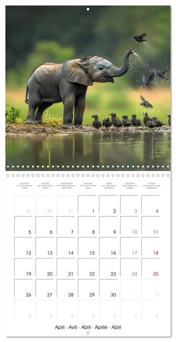 Baby Elephant Adventures (CALVENDO Monthly Calendar 2027)