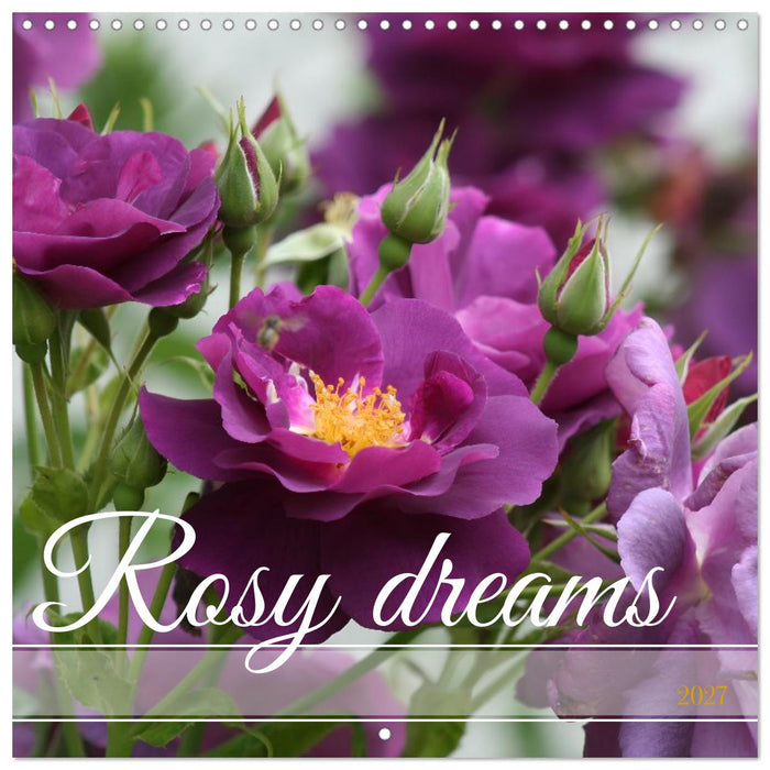 Rosy dreams (CALVENDO Monthly Calendar 2027)