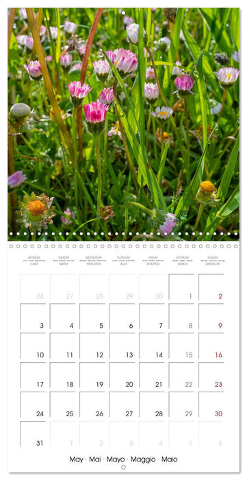 Harmonie Florale Des Prés aux Villes (CALVENDO Calendrier mensuel 2027)
