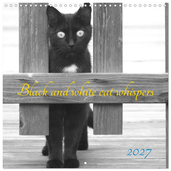 Black and white cat whispers (CALVENDO Monthly Calendar 2027)