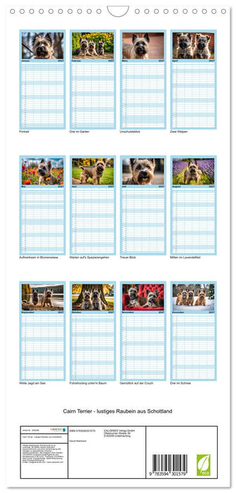 Cairn Terrier - lustiges Raubein aus Schottland (CALVENDO Familienplaner 2027)