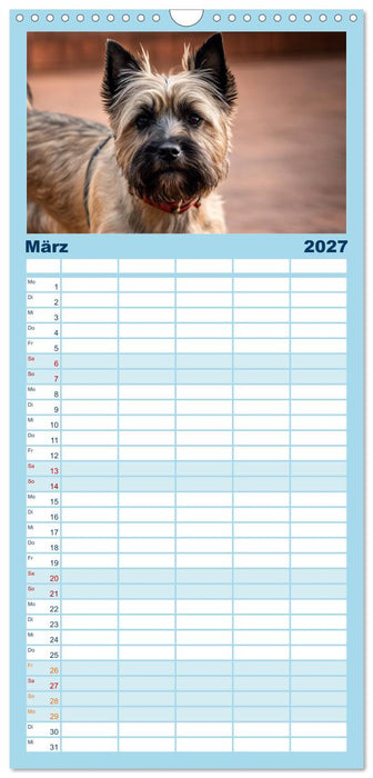 Cairn Terrier - lustiges Raubein aus Schottland (CALVENDO Familienplaner 2027)