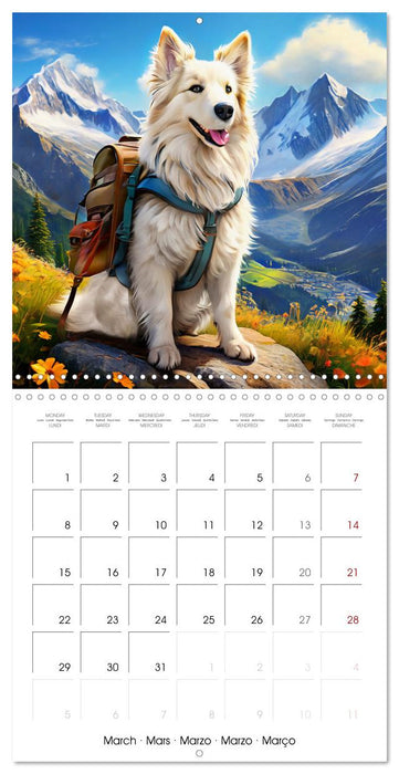 Cute pets discover the world (CALVENDO Monthly Calendar 2027)