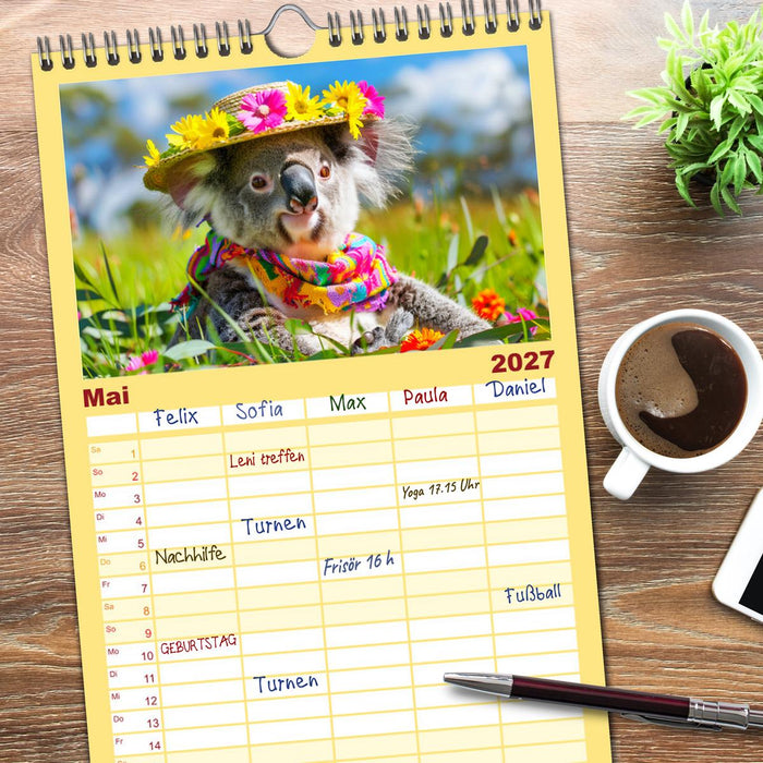 Koalas im Modefieber. Flauschig und Chic beim Fotoshooting (CALVENDO Familienplaner 2027)