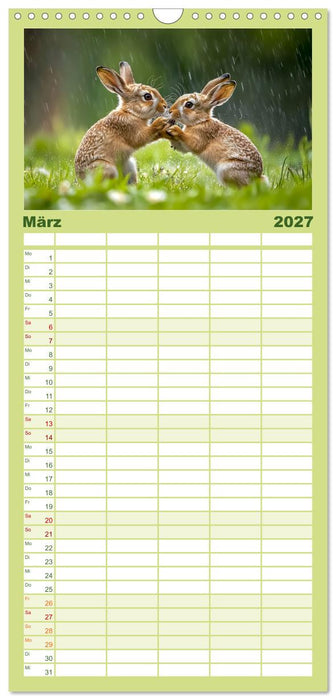 Wilde Tierwelt im Wald (CALVENDO Familienplaner 2027)