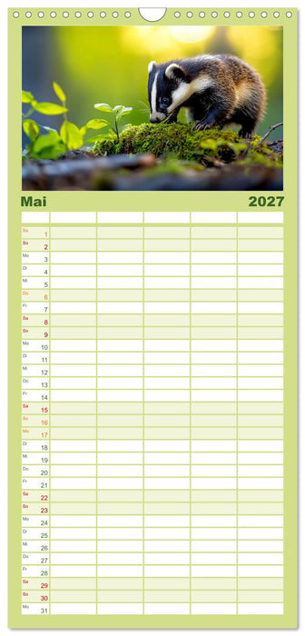 Wilde Tierwelt im Wald (CALVENDO Familienplaner 2027)