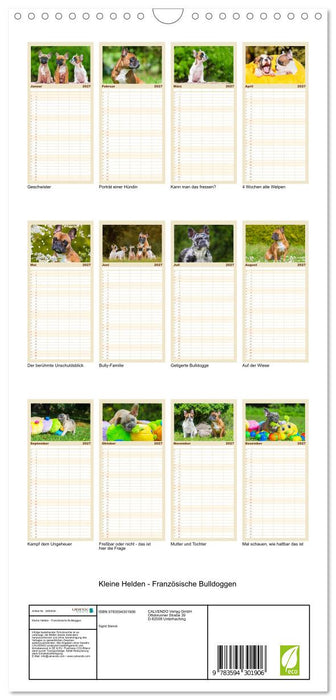 Kleine Helden - Französische Bulldoggen (CALVENDO Familienplaner 2027)