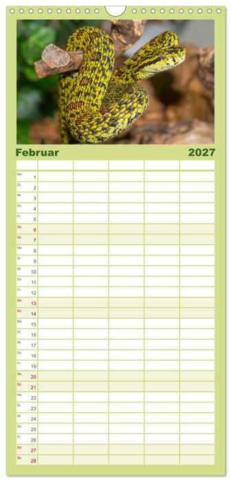 Faszination Giftschlangen (CALVENDO Familienplaner 2027)