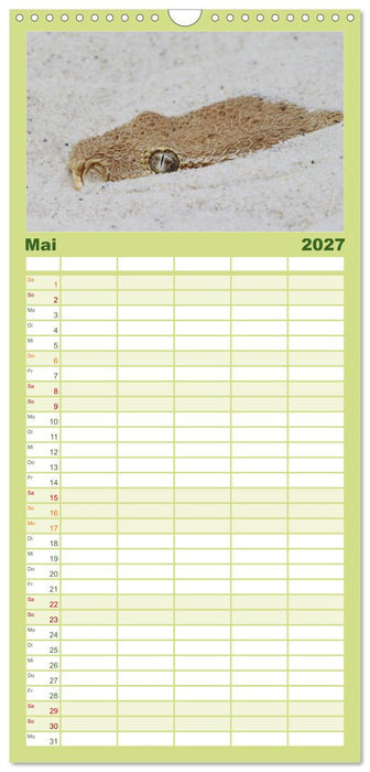 Faszination Giftschlangen (CALVENDO Familienplaner 2027)