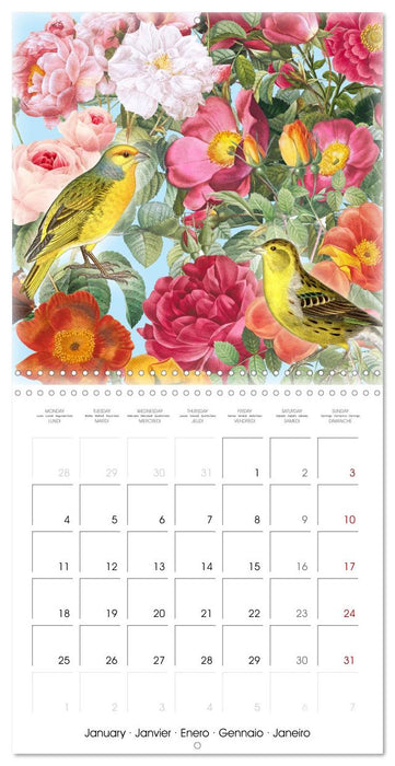 Dans le jardin de Monsieur Pierre-Joseph Redouté (CALVENDO Calendrier mensuel 2027)