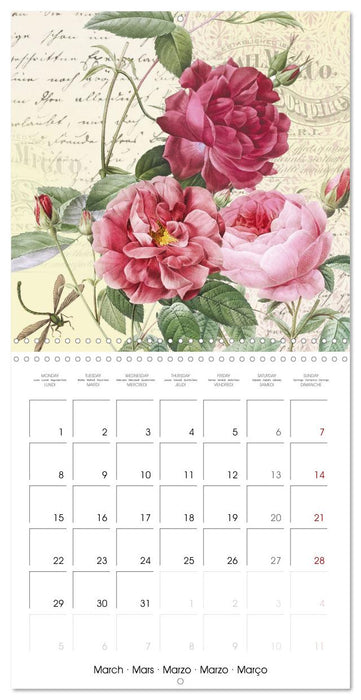 Dans le jardin de Monsieur Pierre-Joseph Redouté (CALVENDO Calendrier mensuel 2027)