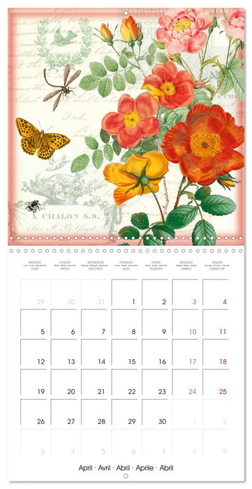 Dans le jardin de Monsieur Pierre-Joseph Redouté (CALVENDO Calendrier mensuel 2027)