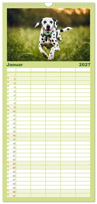Dalmatiner - freundliche Temperamentsbolzen (CALVENDO Familienplaner 2027)