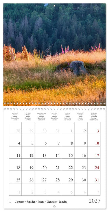 Forest impressions (CALVENDO Monthly Calendar 2027)