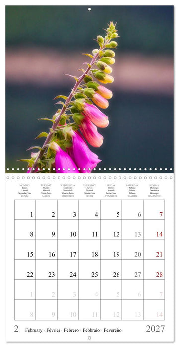 Forest impressions (CALVENDO Monthly Calendar 2027)