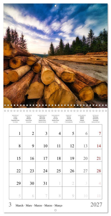 Forest impressions (CALVENDO Monthly Calendar 2027)