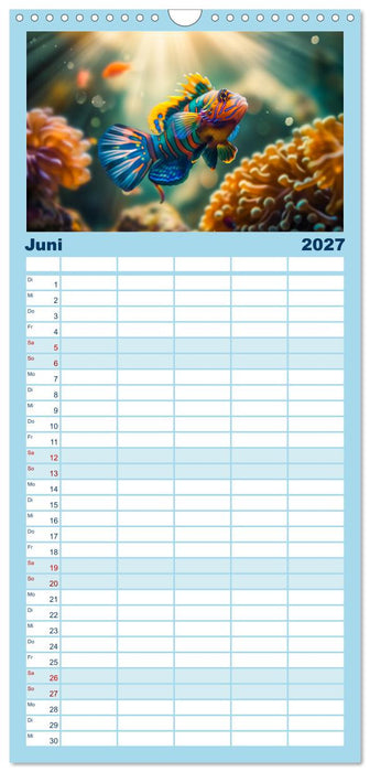 Exotische Fische (CALVENDO Familienplaner 2027)