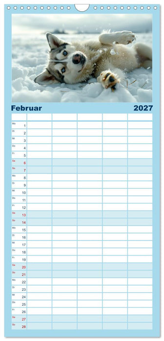 Schlittenhund Träume (CALVENDO Familienplaner 2027)