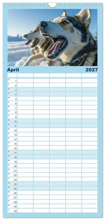 Schlittenhund Träume (CALVENDO Familienplaner 2027)