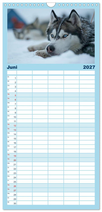 Schlittenhund Träume (CALVENDO Familienplaner 2027)
