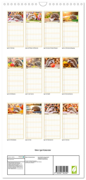 Mein Igel-Kalender (CALVENDO Familienplaner 2027)