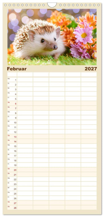 Mein Igel-Kalender (CALVENDO Familienplaner 2027)