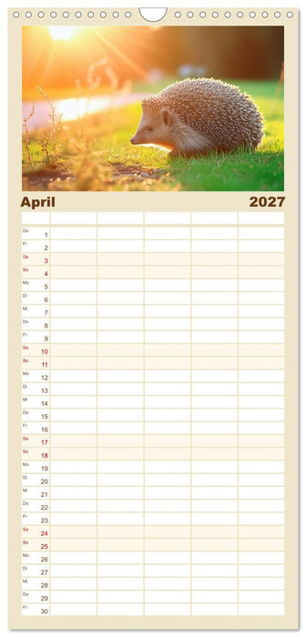 Mein Igel-Kalender (CALVENDO Familienplaner 2027)