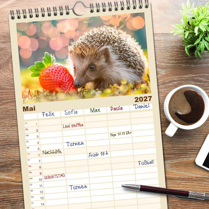 Mein Igel-Kalender (CALVENDO Familienplaner 2027)